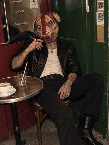 Realistic bloody pig full - bloody, head